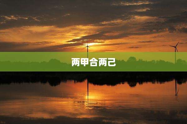 两甲合两己