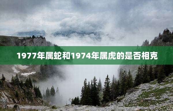 1977年属蛇和1974年属虎的是否相克