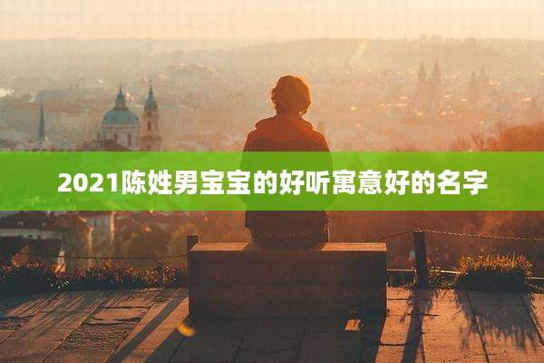 2021陈姓男宝宝的好听寓意好的名字
