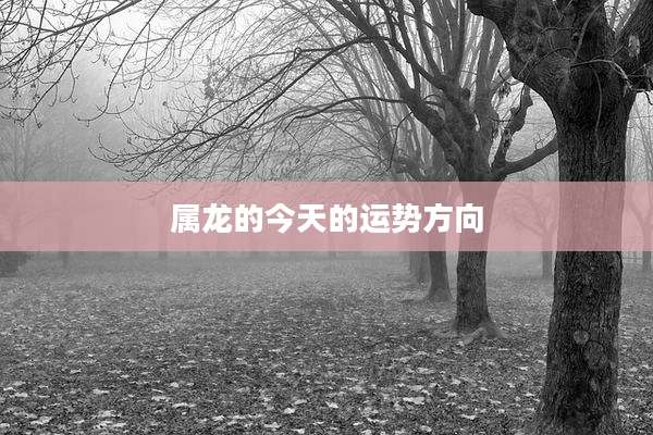 属龙的今天的运势方向