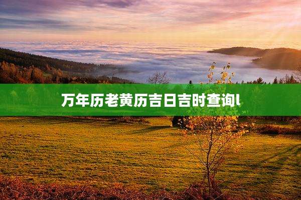 万年历老黄历吉日吉时查询l