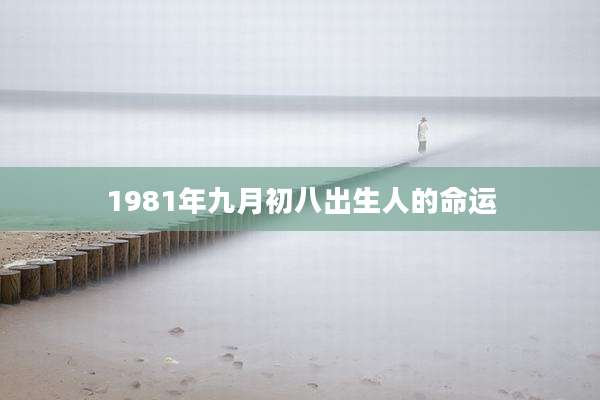 1981年九月初八出生人的命运