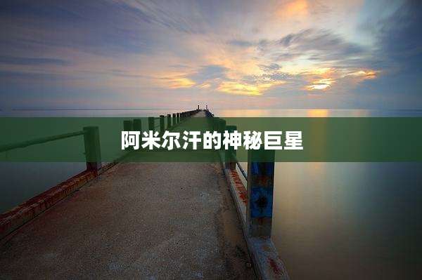 阿米尔汗的神秘巨星