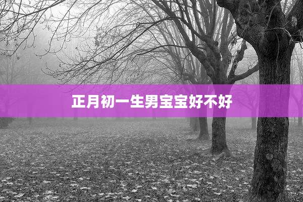 正月初一生男宝宝好不好