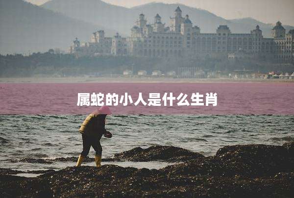 属蛇的小人是什么生肖