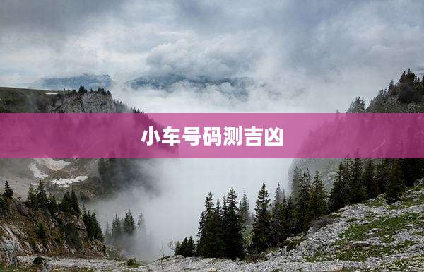 小车号码测吉凶