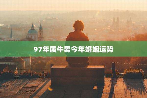 97年属牛男今年婚姻运势