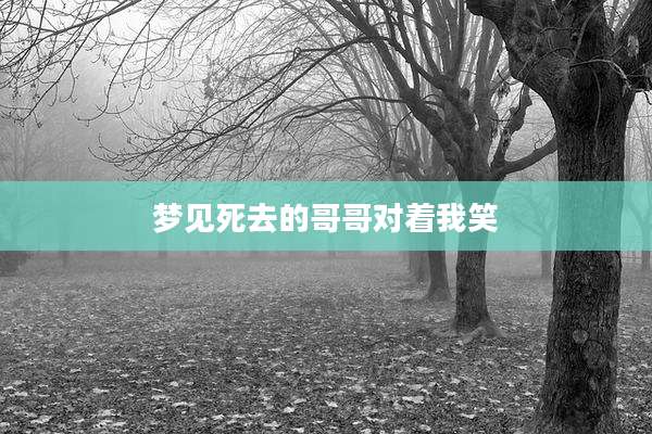 梦见死去的哥哥对着我笑