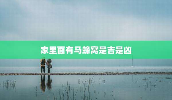 家里面有马蜂窝是吉是凶
