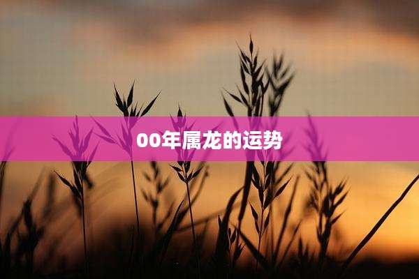 00年属龙的运势