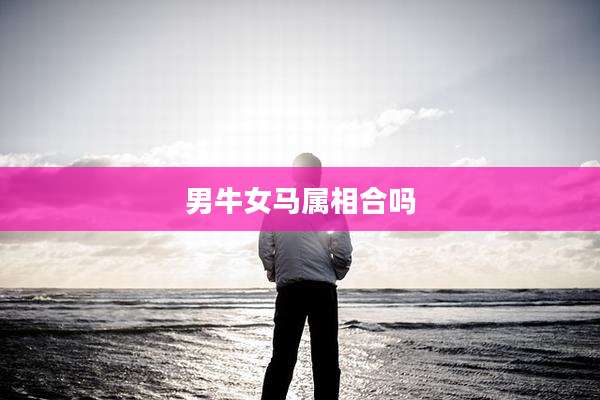 男牛女马属相合吗
