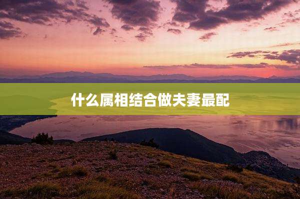 什么属相结合做夫妻最配