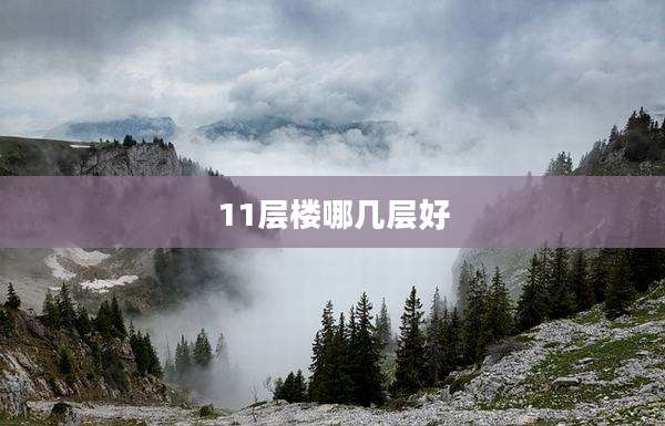 11层楼哪几层好