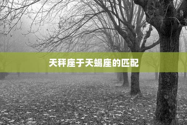 天秤座于天蝎座的匹配