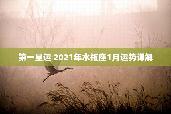 第一星运 2021年水瓶座1月运势详解