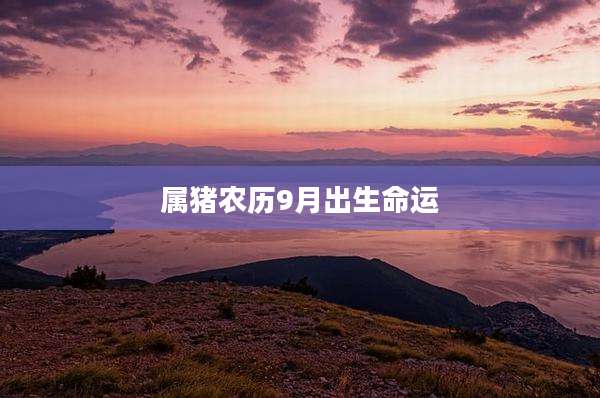 属猪农历9月出生命运