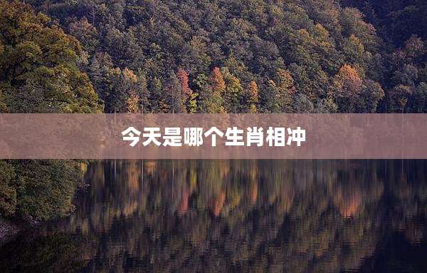 今天是哪个生肖相冲