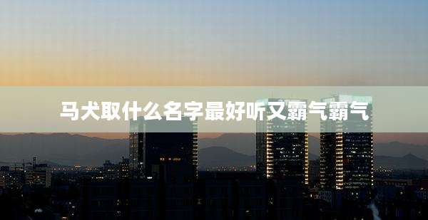 马犬取什么名字最好听又霸气霸气