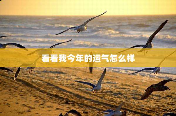 看看我今年的运气怎么样