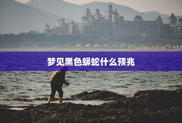 梦见黑色蟒蛇什么预兆