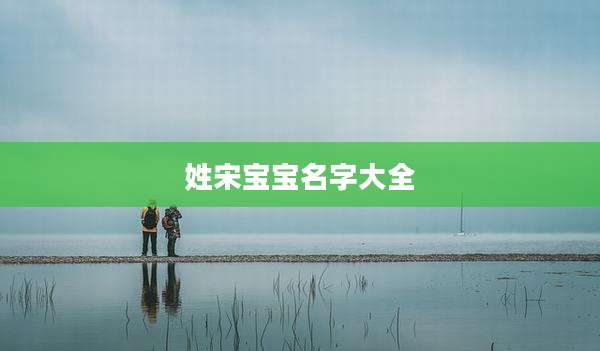 姓宋宝宝名字大全