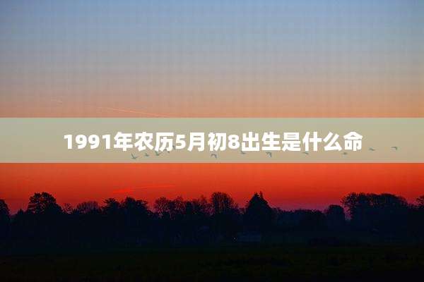 1991年农历5月初8出生是什么命