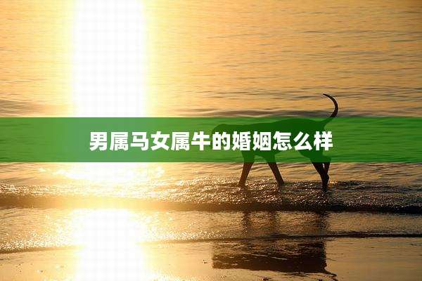 男属马女属牛的婚姻怎么样