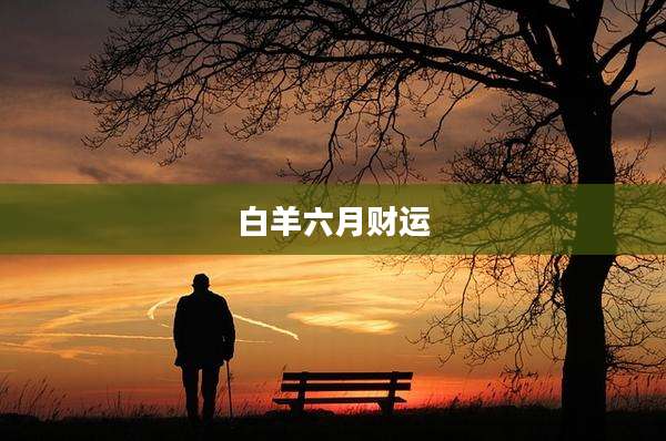 白羊六月财运