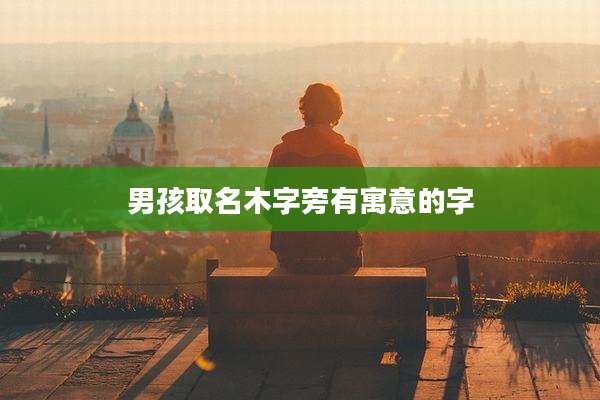 男孩取名木字旁有寓意的字