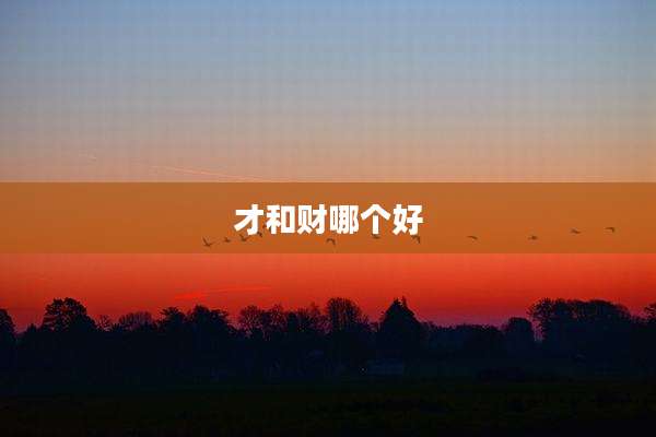 才和财哪个好
