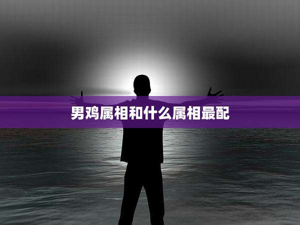 男鸡属相和什么属相最配