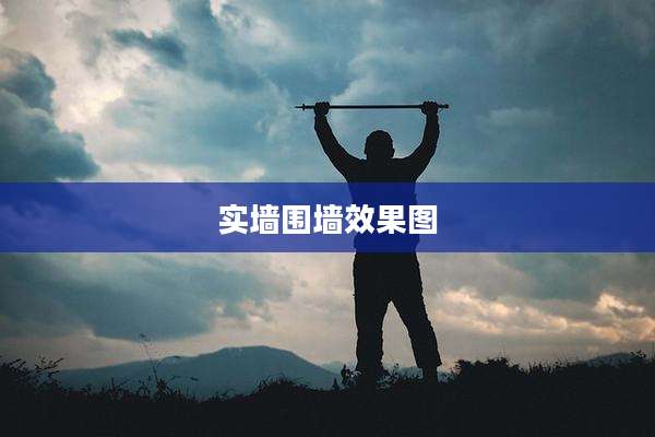 实墙围墙效果图