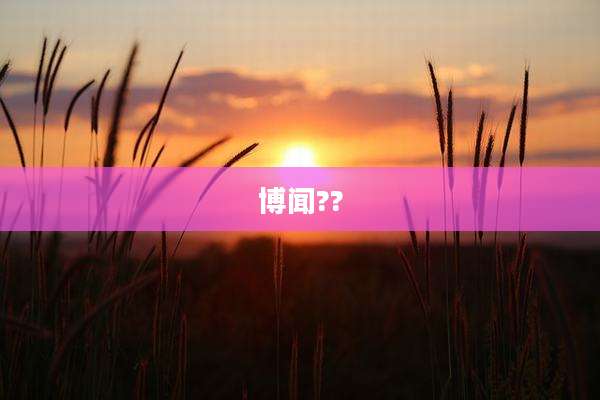 博闻??
