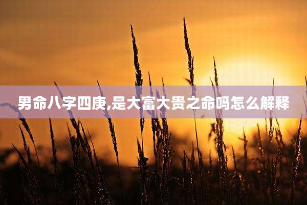 男命八字四庚,是大富大贵之命吗怎么解释