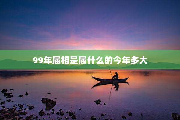 99年属相是属什么的今年多大