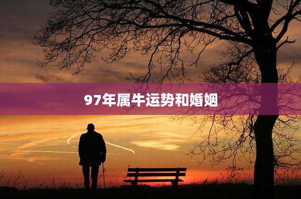 97年属牛运势和婚姻