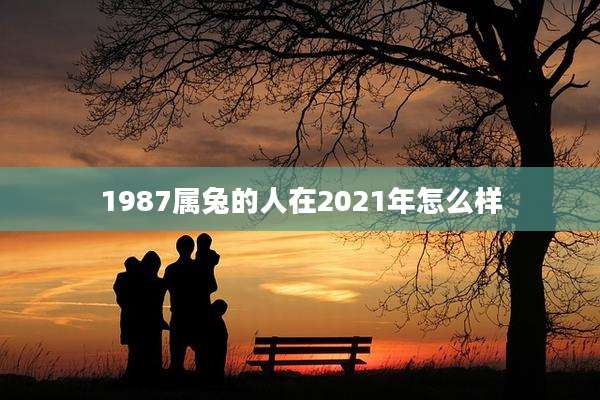 1987属兔的人在2021年怎么样