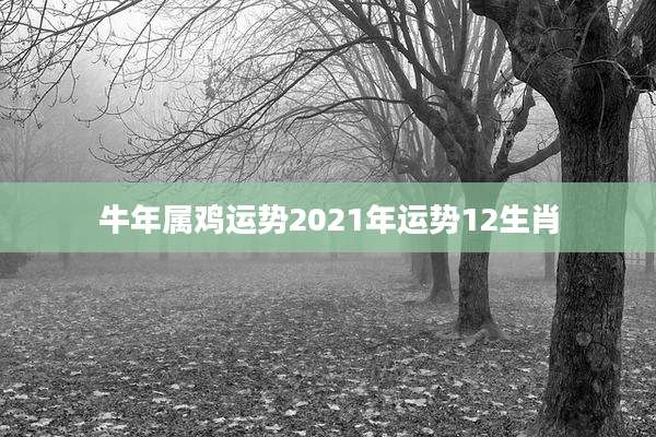 牛年属鸡运势2021年运势12生肖