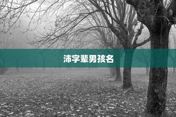 沛字辈男孩名