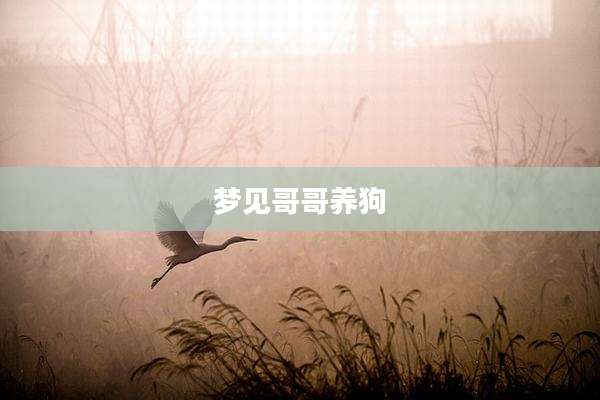 梦见哥哥养狗