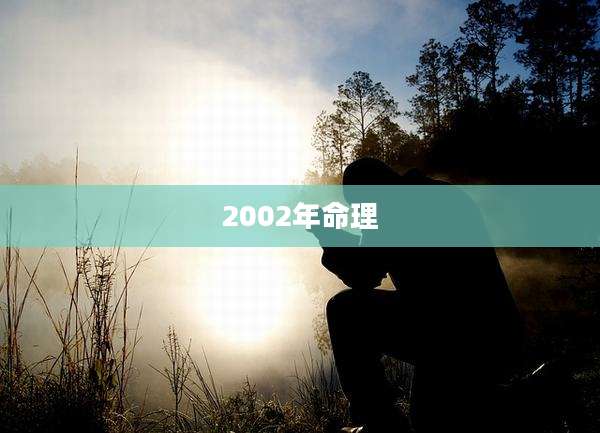 2002年命理