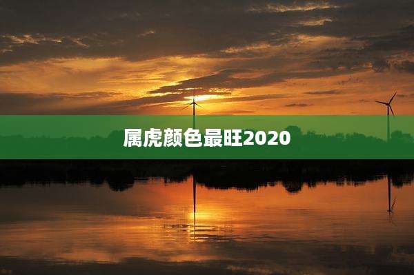 属虎颜色最旺2020