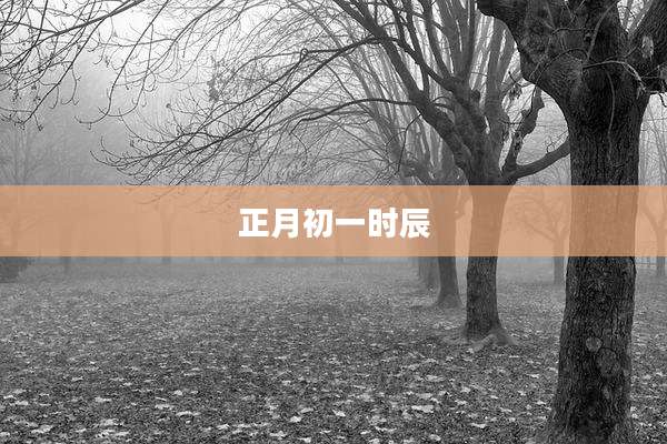 正月初一时辰