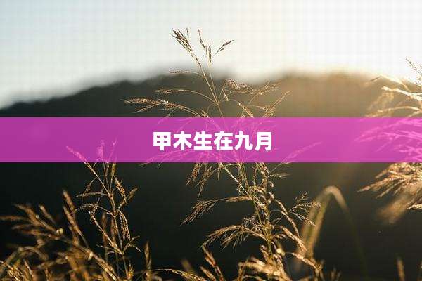 甲木生在九月