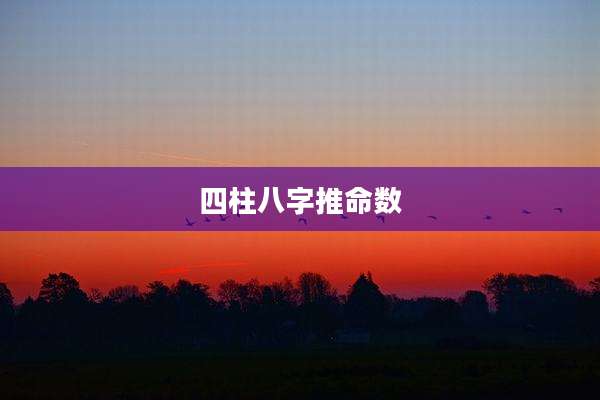 四柱八字推命数