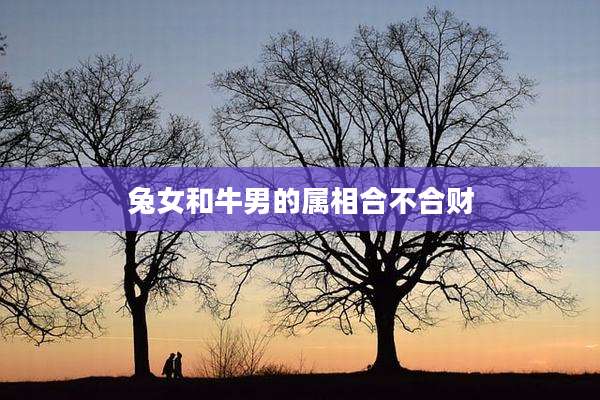 兔女和牛男的属相合不合财