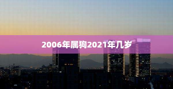 2006年属狗2021年几岁