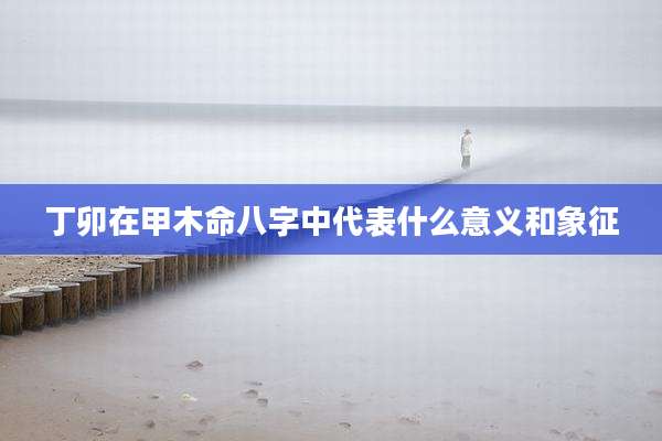 丁卯在甲木命八字中代表什么意义和象征