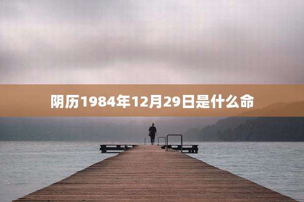 阴历1984年12月29日是什么命