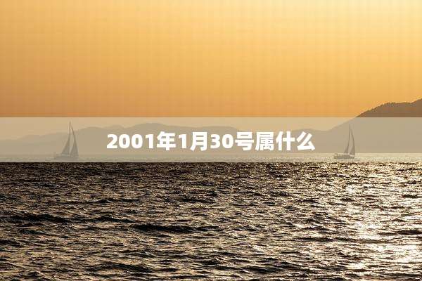 2001年1月30号属什么